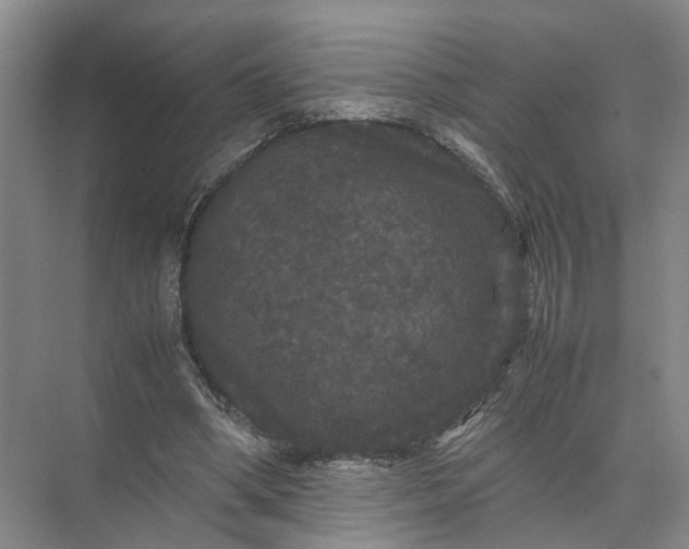 X0000071780394200607150100