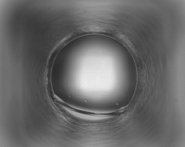 X0000071780395200607150100