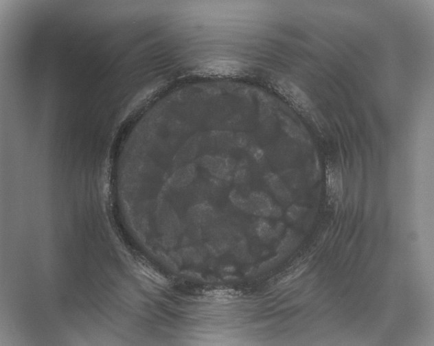 X0000071780396200607150100