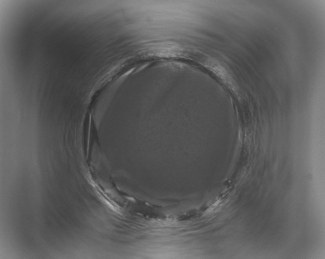 X0000071780397200607150100