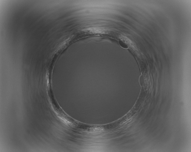 X0000071780398200607150100