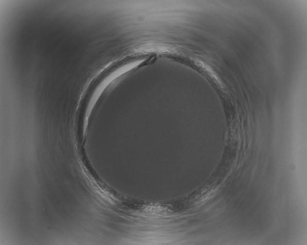 X0000071780399200607150100