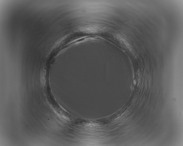 X0000071780400200607150100