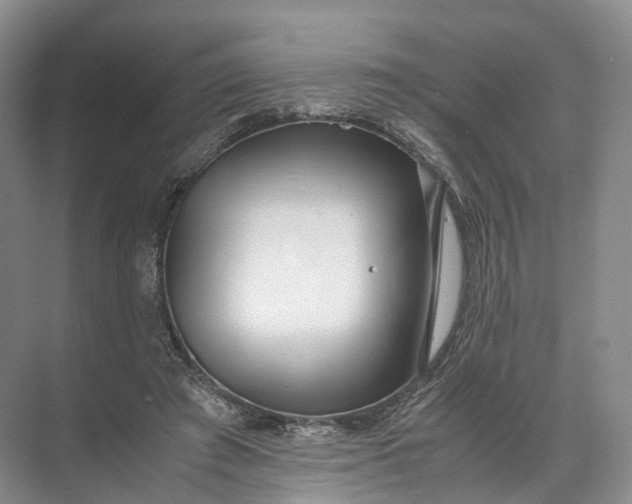 X0000071780401200607150100