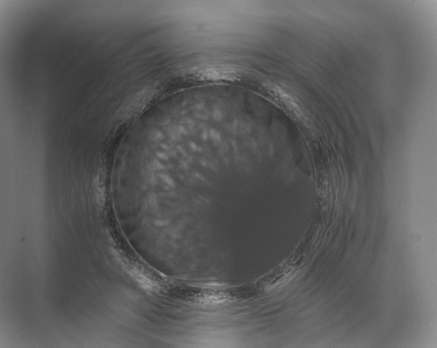 X0000071780402200607150100