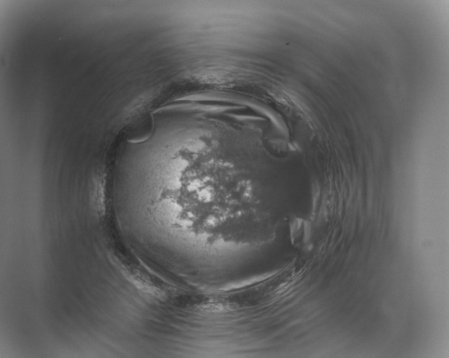 X0000071780404200607150100