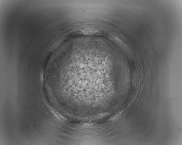 X0000071780405200607150100