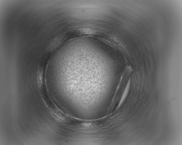 X0000071780406200607150100