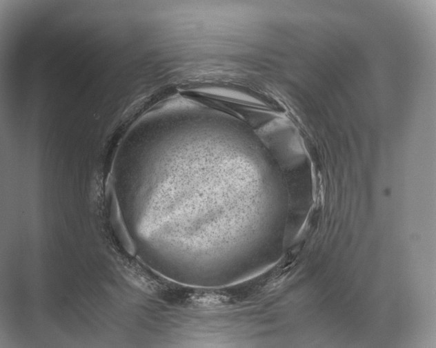 X0000071780407200607150100