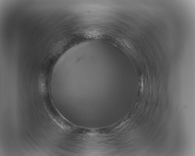 X0000071780408200607150100