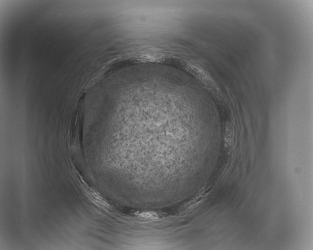 X0000071780409200607150100