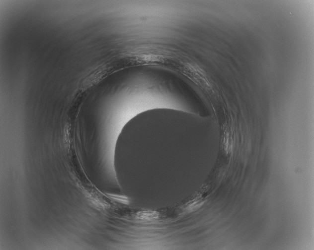 X0000071780410200607150100