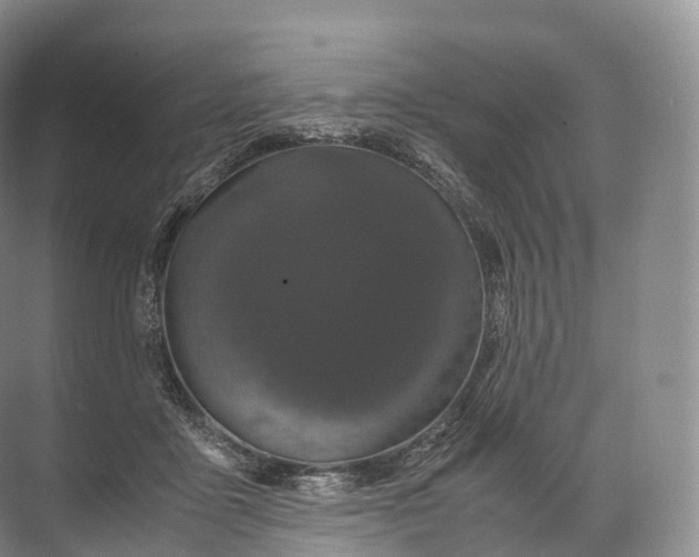 X0000071780411200607150100