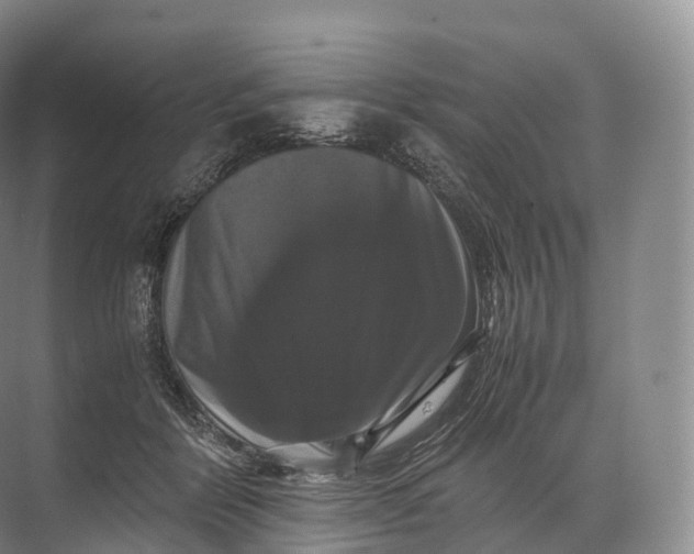 X0000071780412200607150100