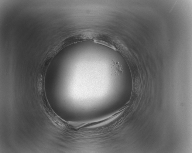 X0000071780413200607150100