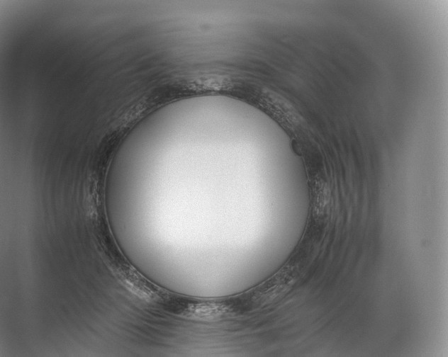 X0000071780414200607150100