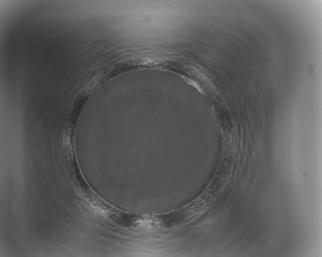 X0000071780415200607150100