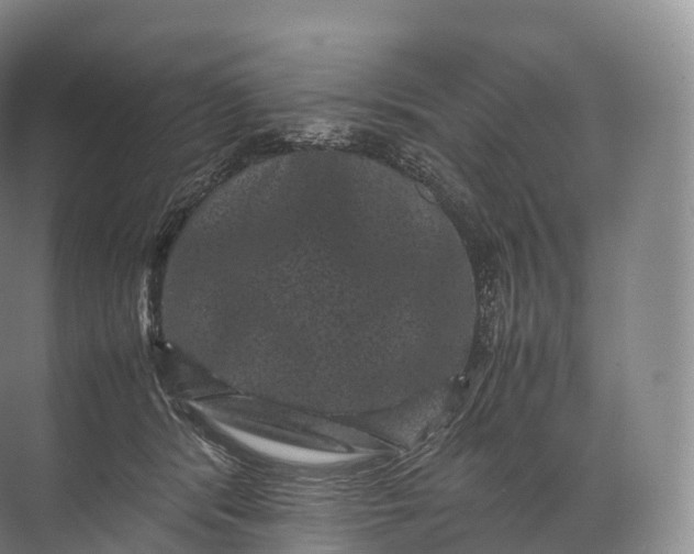 X0000071780416200607150100