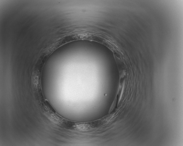 X0000071780417200607150100