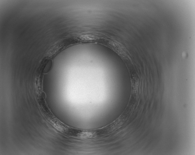 X0000071780418200607150100