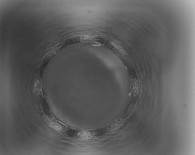 X0000071780419200607150100