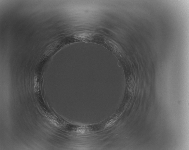 X0000071780420200607150100