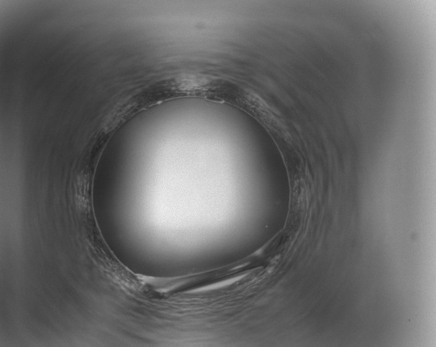 X0000071780421200607150100