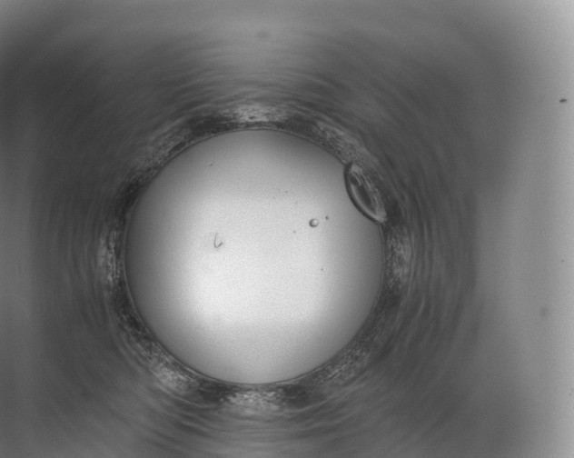 X0000071780422200607150100