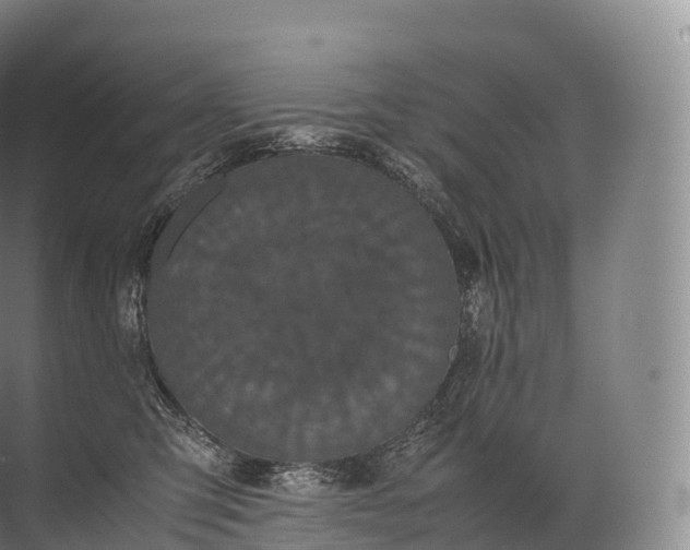 X0000071780423200607150100