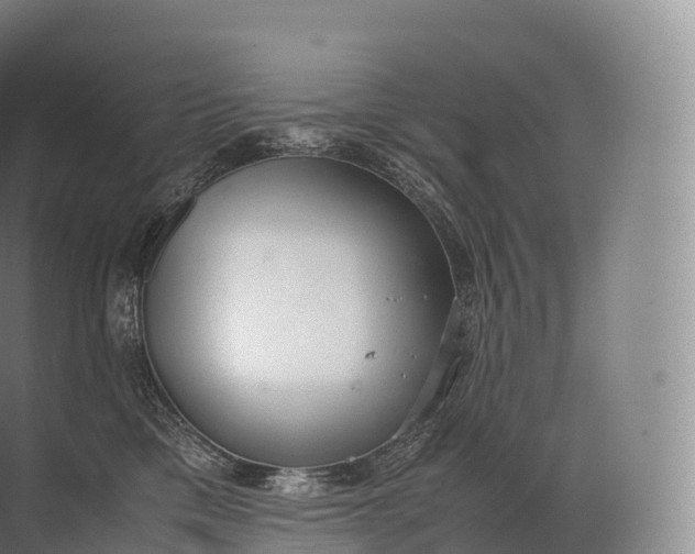 X0000071780425200607150100