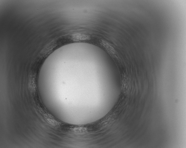 X0000071780426200607150100