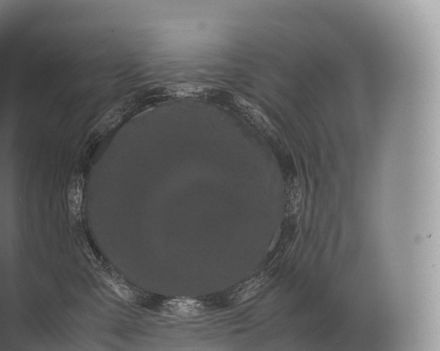 X0000071780427200607150100