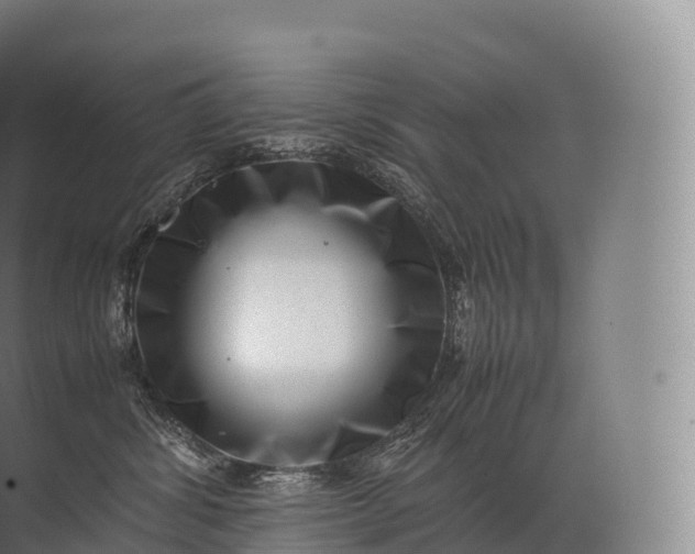 X0000071780428200607150100