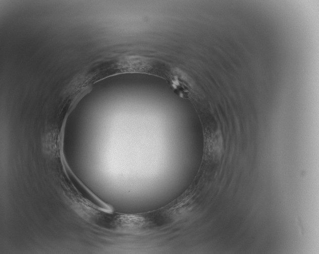 X0000071780429200607150100