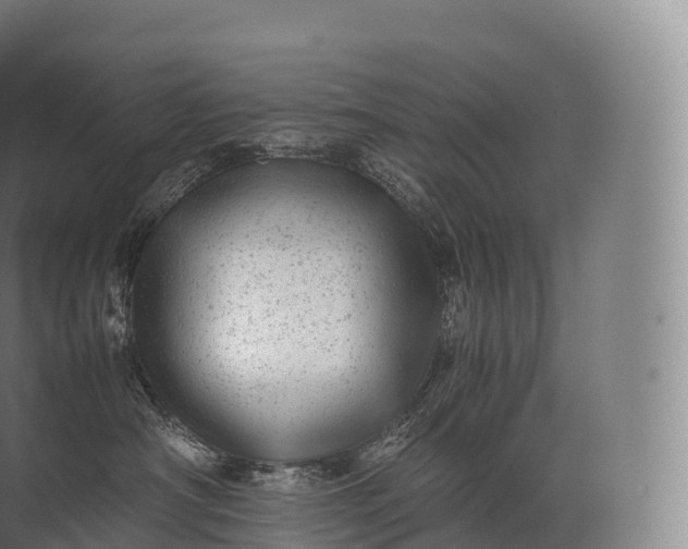 X0000071780430200607150100