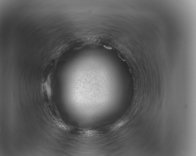 X0000071780432200607150100