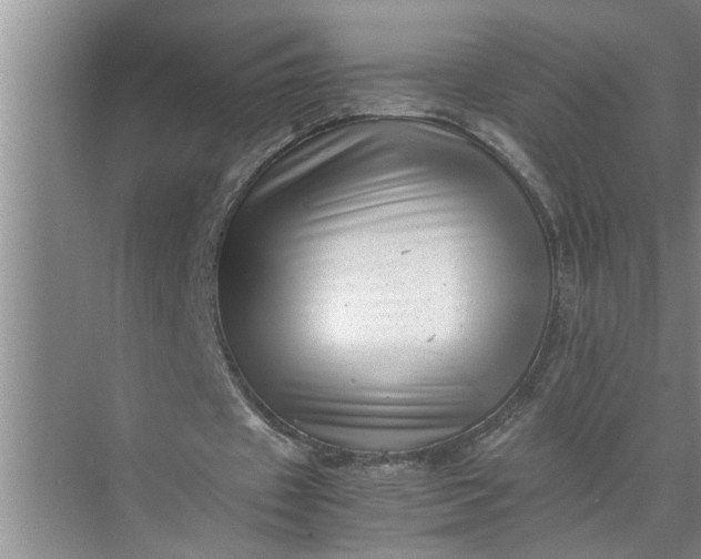 X0000071780433200607150059