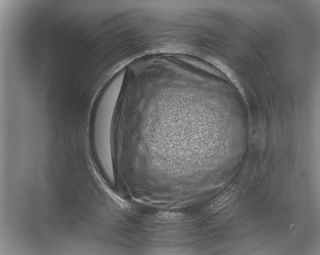 X0000071780437200607150059