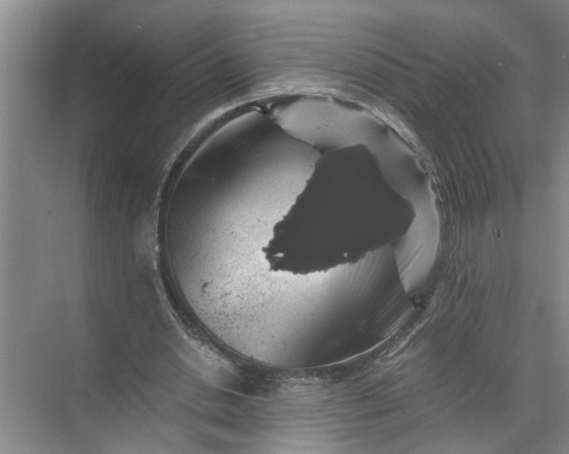 X0000071780438200607150059