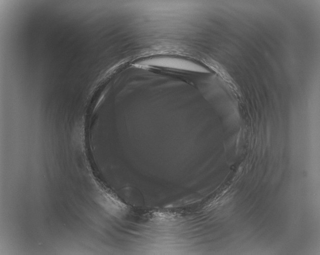 X0000071780442200607150059