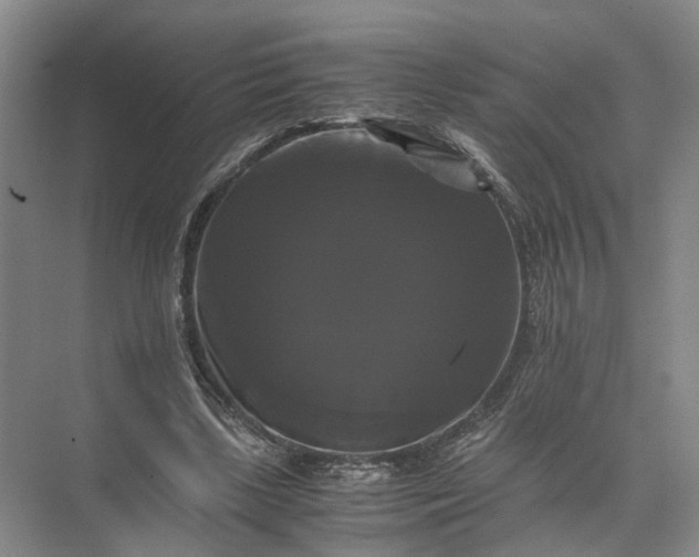 X0000071780443200607150059