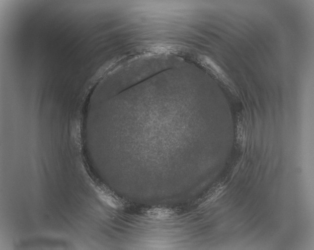 X0000071780444200607150059