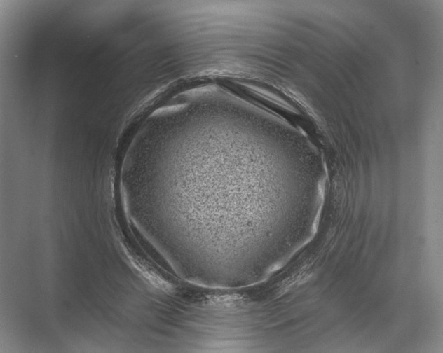 X0000071780446200607150059