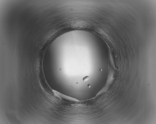 X0000071780448200607150059