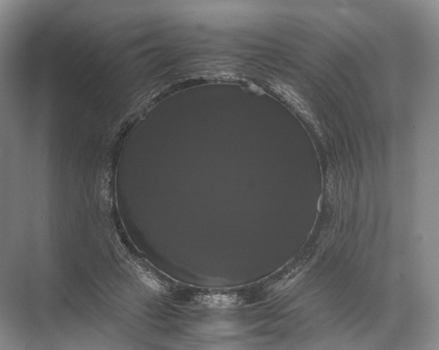 X0000071780449200607150059