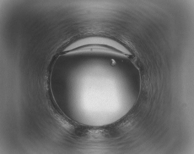 X0000071780450200607150059