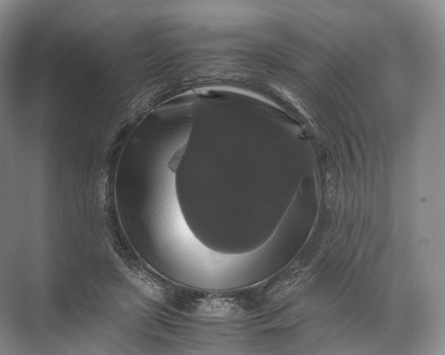 X0000071780451200607150059