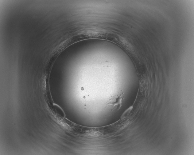 X0000071780454200607150059