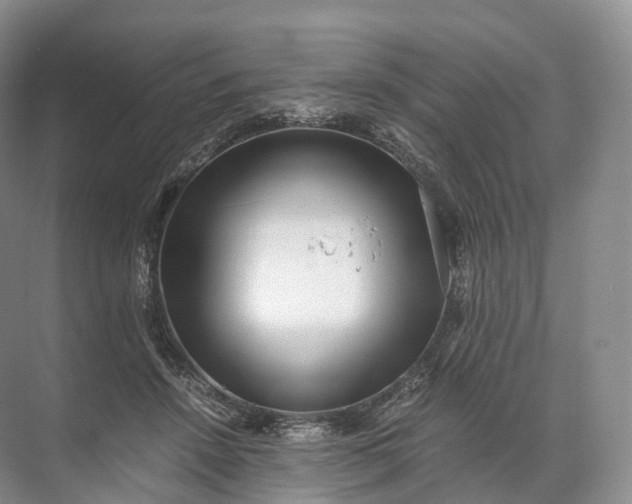 X0000071780456200607150059