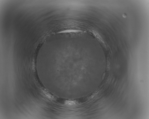 X0000071780457200607150059